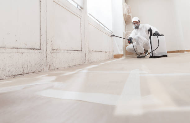 24/7 Emergency Mold Removal experts in Franklin Park, NJ